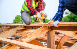 Crecimiento Sostenido en el Empleo del Sector Inmobiliario: Supera los 1,5 Millones de Trabajadores en Noviembre